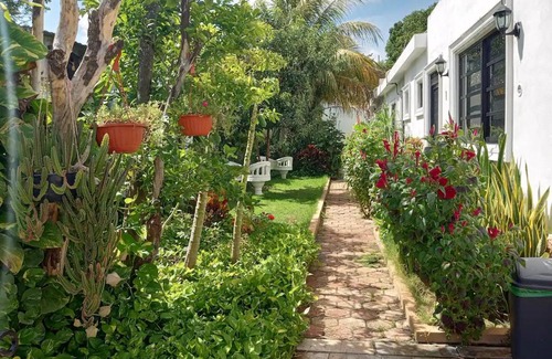 Centro House | Eva and Ivan
