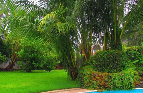 La Cruz de Huanacaxtle House | Full-privacy in charming 3-bdr house with heated pool, garden & jacuzzi