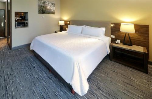San Pedro Garza Garcia Hotel | Holiday Inn Express & Suites Monterrey Valle by IHG