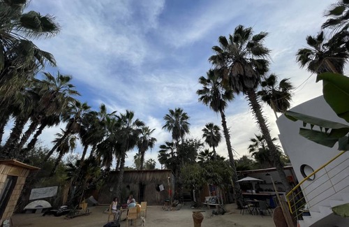 Todos Santos Hostel | Hostel ∙ 8 guests
