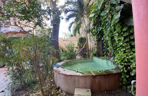 Sayulita Hostel | Hostel ∙ 8 guests