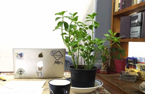 Centro Hostel | Hostel ∙ 8 guests