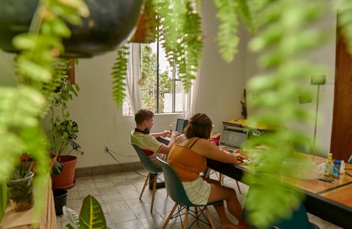 Zona Minerva Hostel | Hostel ∙ 8 guests