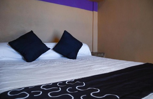 Monterrey Hotel | Hotel Platino