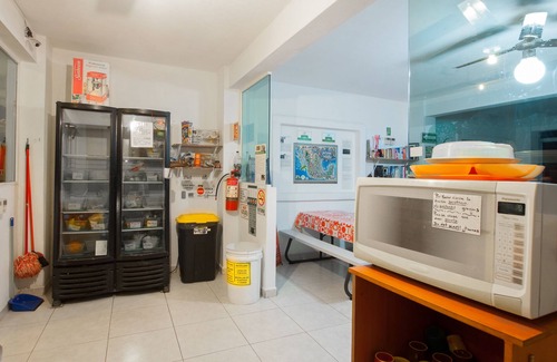 Sayulita Hostel | ITH Sayulita Amazing Surf Hostel