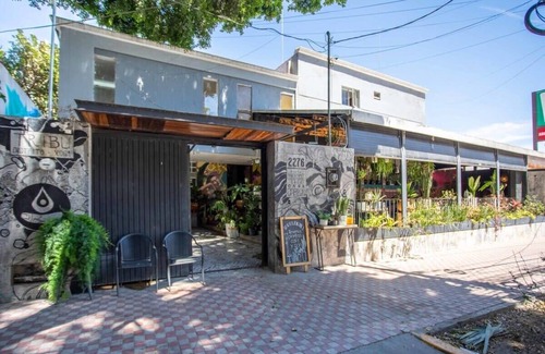 Lafayette House | La Paz & Love Hostel | Private Room l Pet Friendly