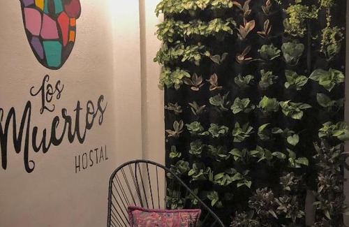 Romantic Zone Hostel | Los Muertos Hostal