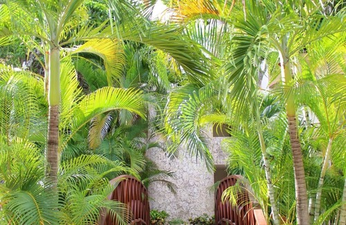 Zama Apartment | Lovely 2 bedroom serviced apartment with pool.
