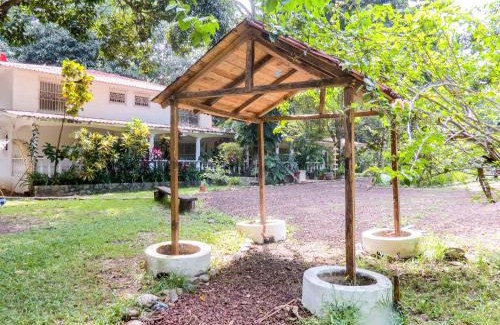 Actopan Municipality House | Mango Selva Bio Hotel