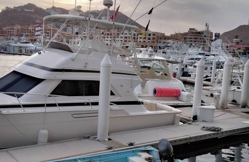 Centro Apartment | Marina Junior suite