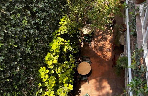 Zona Centro House | Motel ∙ 8 guests