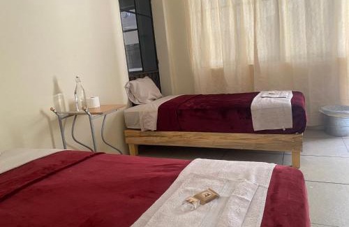 Oaxaca Hostel | Nomada Hostel Oaxaca - Vive nómada!