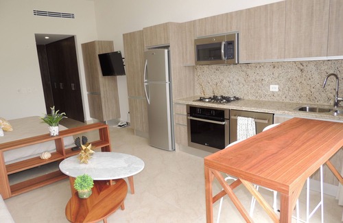 Emiliano Zapata Apartment | Penthouse Studio in new building PACIFICA