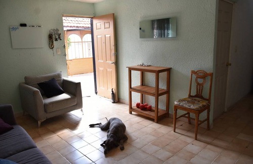 Queretaro Resort | Private room ∙ 1 guest