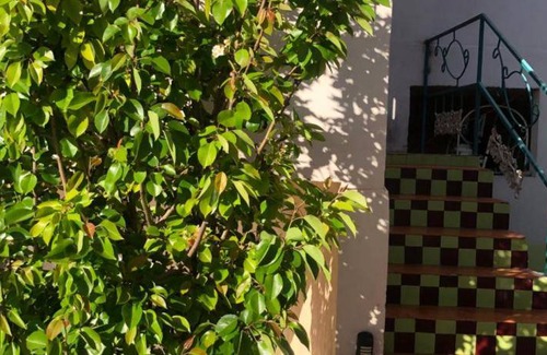 Cerocahui Resort | Private room ∙ 2 guests