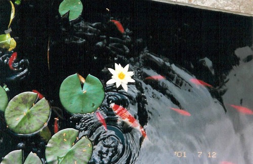 Roxborough Resort | Private room ∙ 4 guests