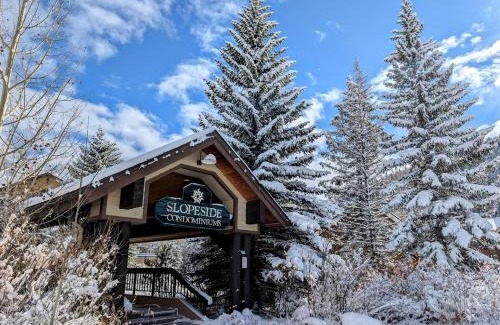 Mountain House House | Slopeside 2773A by SummitCove Lodging