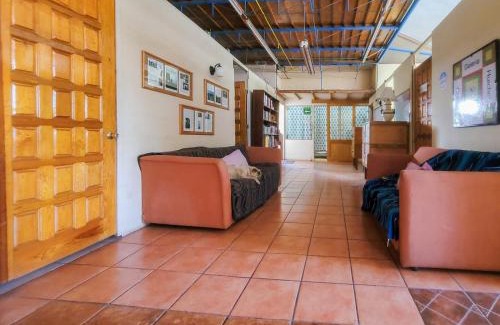 La Cruz de Huanacaxtle Hostel | The Octopus's Garden Hostel