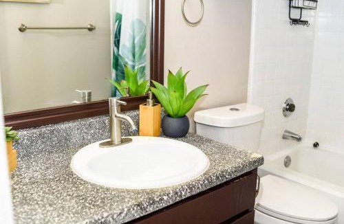 Grand Prairie Apartment | 10 Mins Away Cowboy & Ranger Stadium 1b