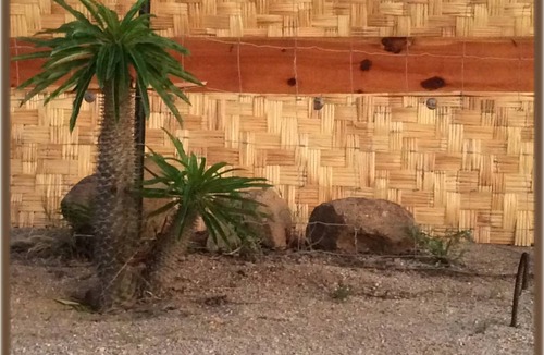 Todos Santos Resort | 12 m² Private room ∙ 1 bedroom ∙ 2 guests
