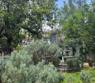 Colonia Guadalupe Bed & Breakfast | 15 m² Bed and breakfast ∙ 3 guests