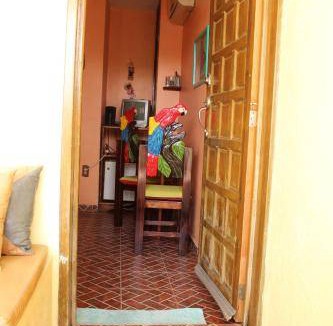Downtown Cancun Bed & Breakfast | 15 m² Bed and breakfast ∙ 2 guests