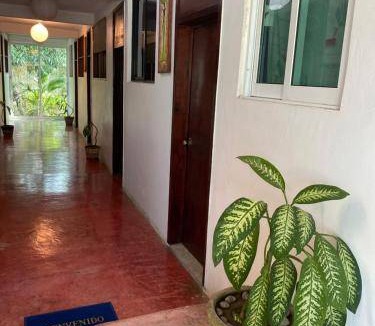 Casitas Hotel | 15 m² Hotel ∙ 4 guests