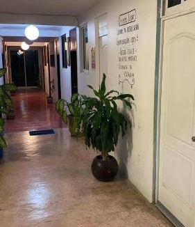 Casitas Hotel | 15 m² Hotel ∙ 4 guests