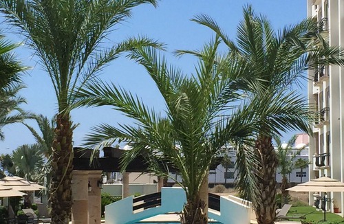 El Medano Ejidal Condo | 1700 SQ FT Penthouse at Medano Beach,Cabo San Lucas