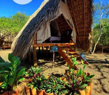 Tonala Cabin | 20 m² Lodge ∙ 4 guests