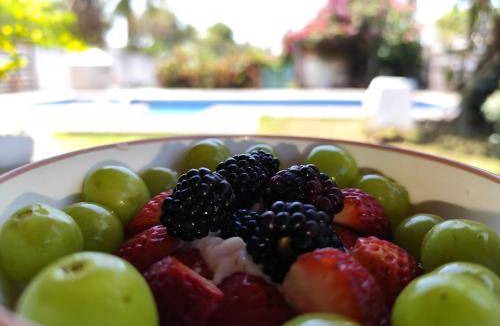 Tecolutla Municipality Bed & Breakfast | 24 m² Bed and breakfast ∙ 4 guests