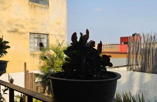 Central Cuernavaca Bed & Breakfast | 25 m² Bed and breakfast ∙ 3 guests