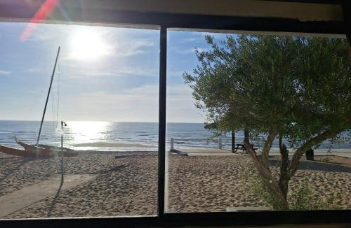 San Felipe Hotel | #39 Bungalow Seaside Hotel & Victors RV Park