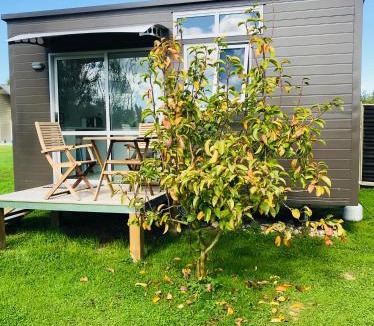 Otorohanga Bed & Breakfast | 40 Winks
