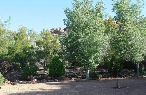Leeds House | 45 min. from Zion Natl. Park "PRIVATE Guest Room #1" - SHARED HOUSE