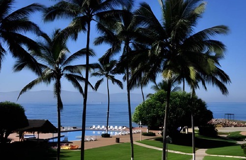 Isla Iguana Resort | 60 m² Resort ∙ 127 guests