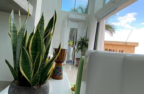 La Manzanilla House | A vacation in paradise