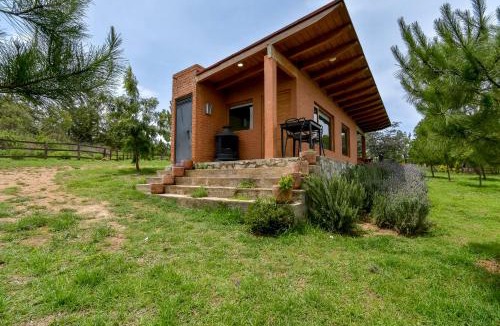 Tapalpa House | Acogedora cabaña en el bosque Tlapalpa