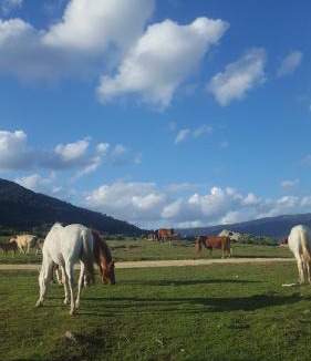 Tarifa Other | Agradable minicasa con vistas al Estrecho