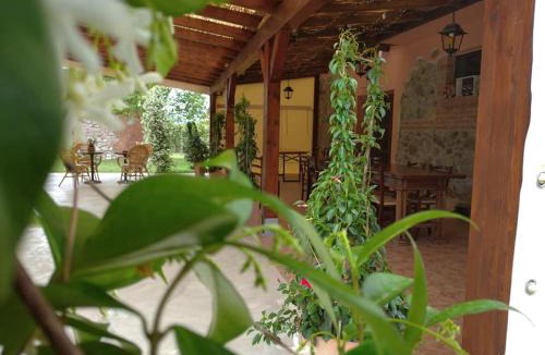 Roccastrada House | Agriturismo Il Selvello
