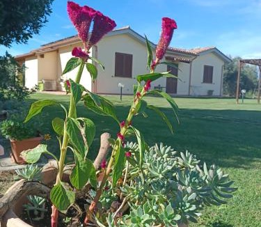 Grosseto House | Agriturismo Le Villette di Cate