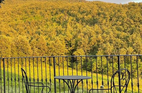 Rufina Bed & Breakfast | Agriturismo Podere Querceto