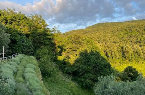 Rufina Bed & Breakfast | Agriturismo Podere Querceto