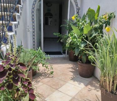 Emiliano Zapata Bed & Breakfast | Alexandross