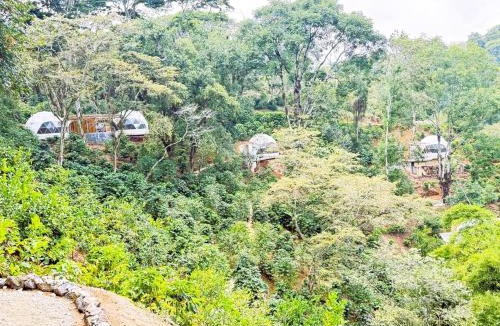 Coatepec Other | Alma Glamping