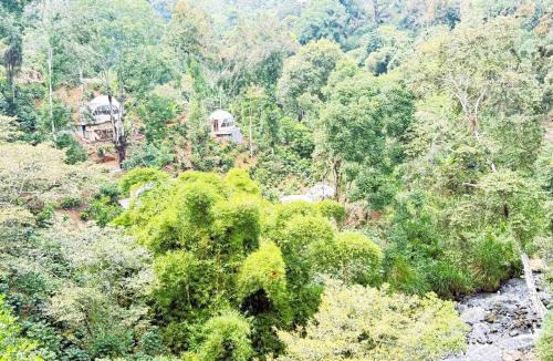 Coatepec Other | Alma Glamping
