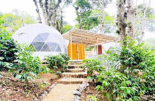 Coatepec Other | Alma Glamping