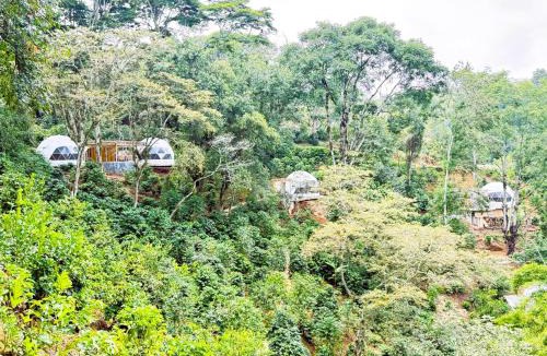 Xalapa Other | Alma Glamping