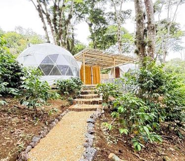 Xalapa Other | Alma Glamping