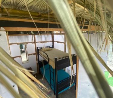 Downtown San Jose del Cabo Hostel | Aloha Surf Hostel